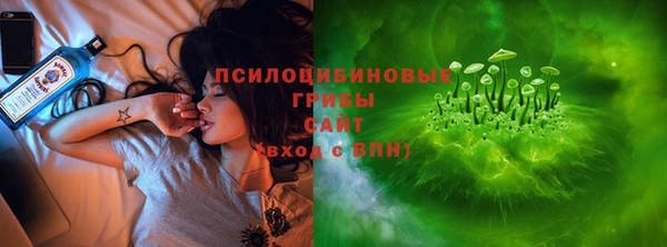 первитин Новодвинск