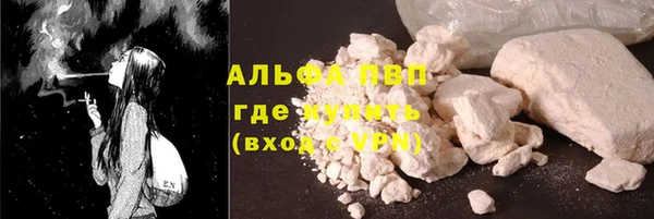 ГАЛЛЮЦИНОГЕННЫЕ ГРИБЫ Новозыбков