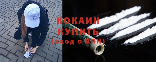 дживик Абинск