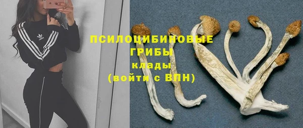 первитин Новодвинск